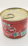 Salsa Tomato Paste 70g